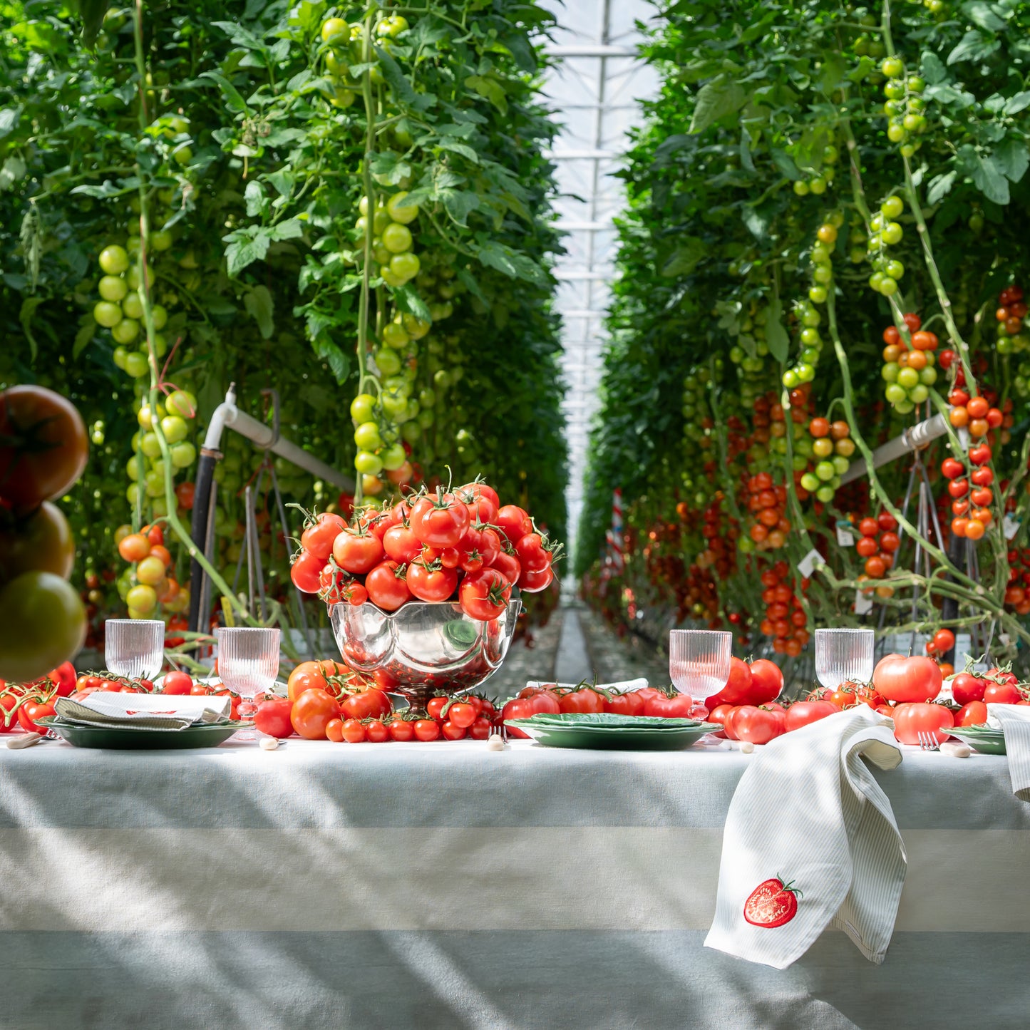 Servet Pomodori di Casa - Set van 2